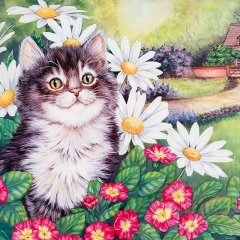 Ася Орловских, 27.03.1979, Киров