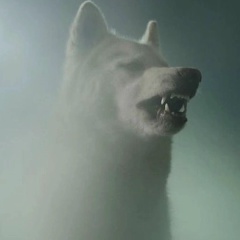 Идрис Абрамович, 03.05, Perth Amboy