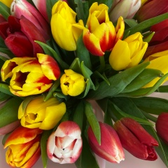 Татьяна Татьяна, Челябинск