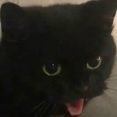 Виктория Степаненко