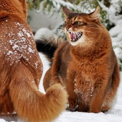 Евгений Матвеев, 30.09