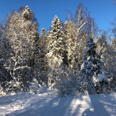 Катерина Иванова, 28.11, Санкт-Петербург