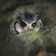 Анастасия Федотова, 30.01, Санкт-Петербург