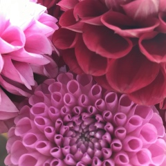 Света Гордиенко, 12.08, Владивосток