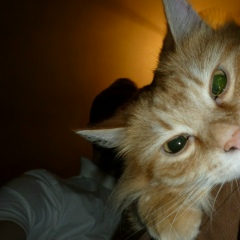 Игорь Смирнов, 23.11, Санкт-Петербург