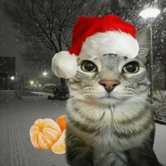 Emir Aliev, 12.03.2011, Красноярск