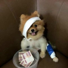 Aung Khant, 28.01.1996