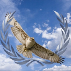 Сергей Моисеенков, 29.07.1988, Полтава