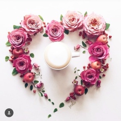 Инесса Долина, Алматы