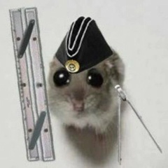 Илья Полухин, 08.02.2001, Заозерск