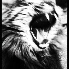 Александр Бакулин, 06.02, Екатеринбург