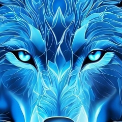 Андреас Шульце, 24.06