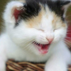 Mya Thuzar, 05.06.1969, Yangon