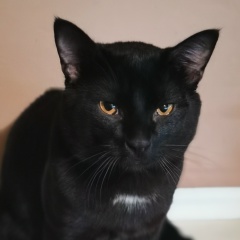 From Ghetto, 13.05, Санкт-Петербург