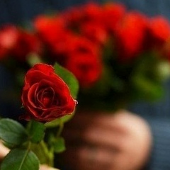 Жанар Боханова, 14.03.1994