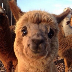 Илья Сергеев, 19.12.1988, Санкт-Петербург