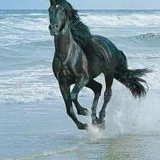 Ибагат Серикжан, 04.09.2002, Алматы