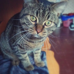 Сергей Ларин, 03.01, Санкт-Петербург