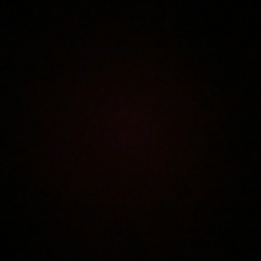 Сонечка Гаспарян, Санкт-Петербург