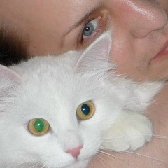 Дмитрий Медведев, 22.10, Москва