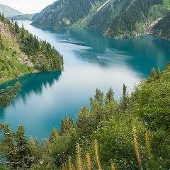 Эрмек Тойгонбаев, 10.05.1979, Джалал-Абад