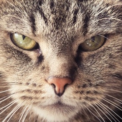 Алексей Ильин, 07.08, Рязань