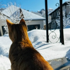 Валентина Батанова, Алматы