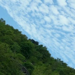 Thandar Thet, 11.07.1969