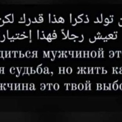 Ибрагим Меджидов, 15.03, Москва