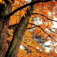 Кристина Сергеевна, 03.10, Москва