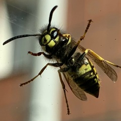 Юлия Мышкина, 12.01, Пермь