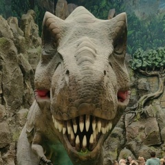 Ирина Гайдамак, 10.12.1981, Выборг