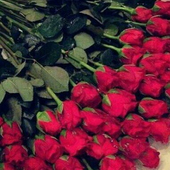 Таншолпан Ораз, 15.06.1993, Шымкент