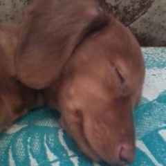 Лариса Лариса, Усть-Каменогорск