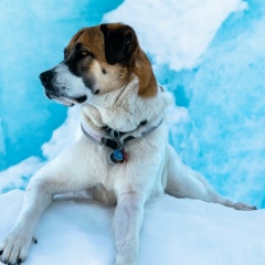 Erlan Bektenov, 09.06, Бишкек