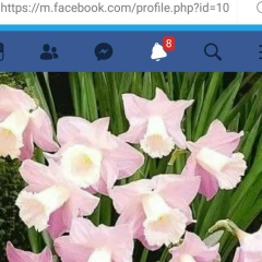 Наташа Ли, 08.01, Мозырь