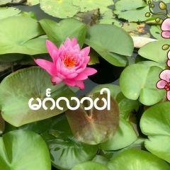 Uarsara Uarsara, 22.12.1963