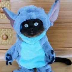 Оленька Шишкина, 10.07, Санкт-Петербург