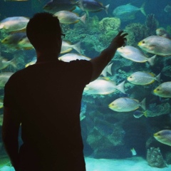 Юра Шаповалов, 05.10, Киев