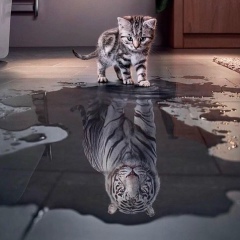 Duman Mankeev, 01.01, Алматы