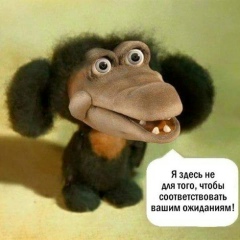 Вероника Полевская, 20.04.1989, Санкт-Петербург