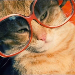 Алёнка , Новосибирск