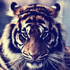 Ася Долматова, 25.02, Санкт-Петербург