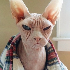 Илья Меркушев, 30.01.1982, Санкт-Петербург