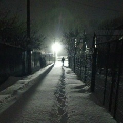 Александр Зайцев