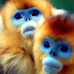 Дмитрий Феночко, 03.05.1986, Киев