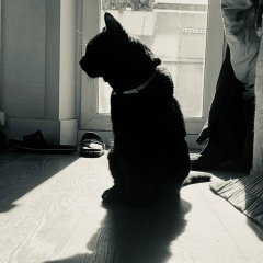 Жанна Овчарова, 07.04, Москва