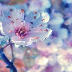 Айка Майка, 03.11.1986, Талдыкорган