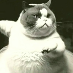 Наталия Шатунова, 11.05, Киров