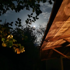 Михаил Киреев, 14.12.1984, Нижний Новгород